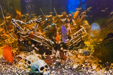 Fishes and pirate ship