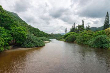 Fototapeta na wymiar River near Armacao beach in Florianopolis, Brazil.