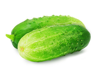 Two fresh green ripe cucumbers isolated on white background. Design element for product label, catalog print, web use.