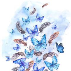 Naklejki  Watercolor greeting card with feathers and blue butterflies