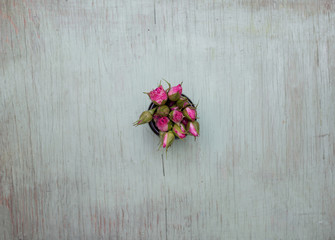 Pink roses on wooden background