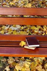 Books on a bench