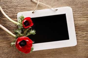 Anemone flowers and blackboard, springtime background