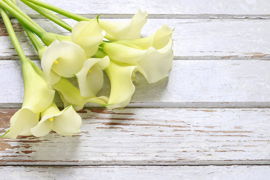 Bouquet of white calla flowers (Zantedeschia) on white wood
