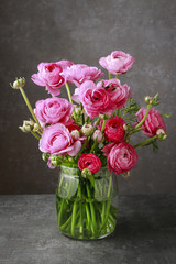 Pink persian buttercup flowers (ranunculus)