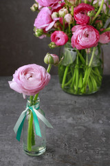 Pink persian buttercup flowers (ranunculus)