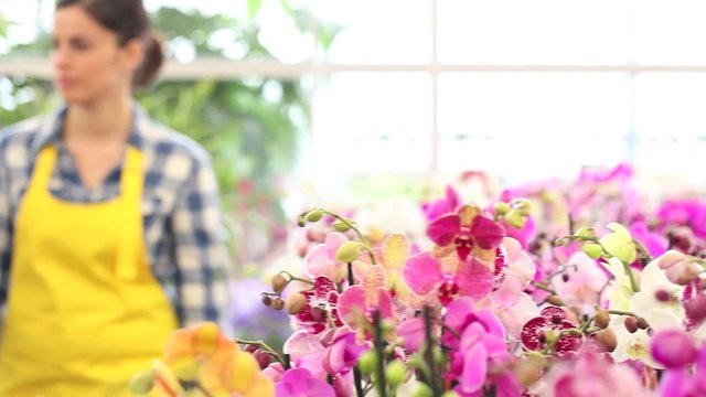 woman walking in the garden of flowers, touches and smells an orchid