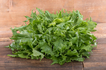 Fresh lettuce batavia ice queen