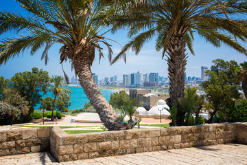 Tel-Aviv  - obrazy, fototapety, plakaty