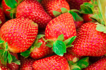 Fresh Strawberry Background photo natural berries