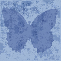 Blauer Schmetterling 