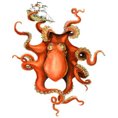 Giant octopus ocean catched sail ship, watercolor illustration © lnsdes