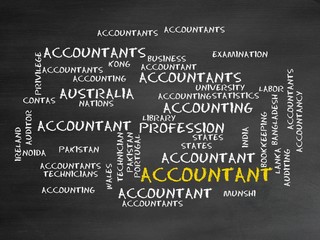 Accountant
