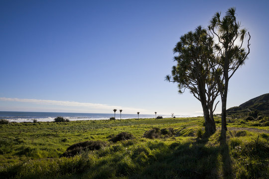 West Coast Beach, New Zealand