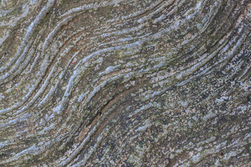 Details of stone texture