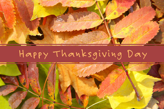 Autumn leaves background and text Happy Thanksgiving Day