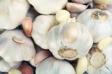 Garlic background