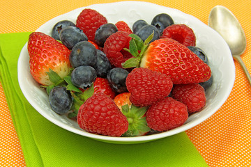 fruits rouges 16022016