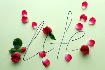 Inscription life with pink roses on green background