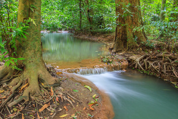 Naklejka na ściany i meble Waterfall in the tropical forest