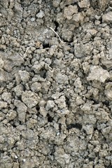 dry cracked soil texture 