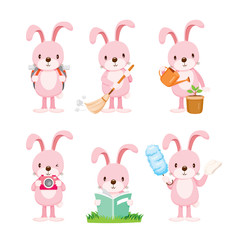 Obraz premium Pink Rabbit Actions Set, Housework, Appliance, Domestic Tools, Computer Icon, Cleaning, Symbol, Icon Set, Spring Season