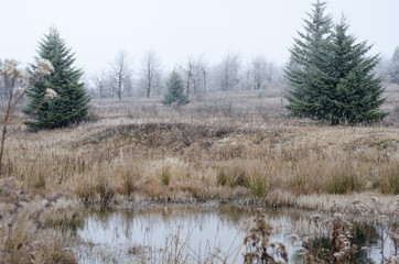 Winter in Dolly Sods Wilderness, Monongahela National Forest, West Virginia