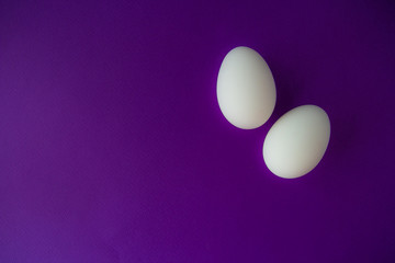 Two white eggs on the purple background