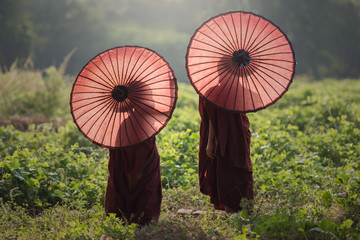 Novice Buddhist monks, Myanmar