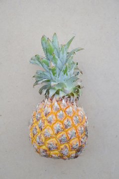 sweet pineapple fruit on wood floor