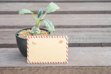 Closeup brown envelope with cactus in black pot on blurred wooden chair texture background