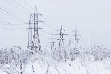 Electricity towers in winter. Blurred foreground