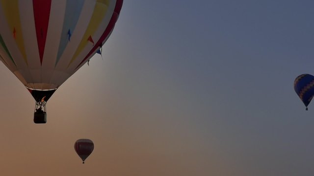 Balloons taking off at dawn during the Festival Internacional del Globo 2014.