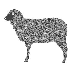 graphic a sheep, vector