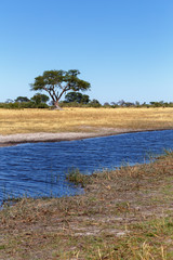African landscape with river