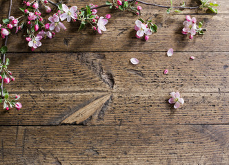 Obraz na płótnie Canvas apple flowers on wooden background