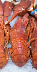 Lobster, fish market