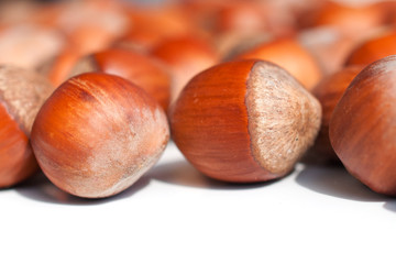 Hazelnuts close up