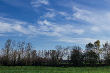 Blue sky and clouds