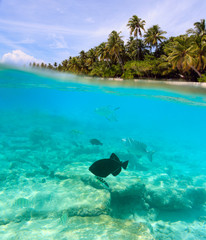 Beautiful tropical island in Maldives under and above water