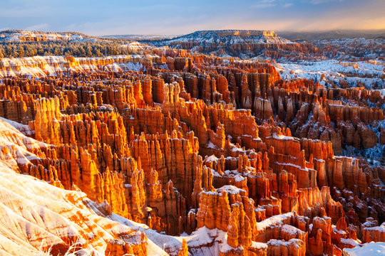 winter morning / Bryce Canyon National Park, Utah, USA