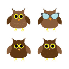 Cute owl set. Big eyes, sunglasses. Icons on white. Baby background. Isolated. Flat design.