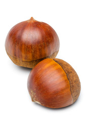 Chinese Chestnut