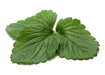 Strawberry Leaf