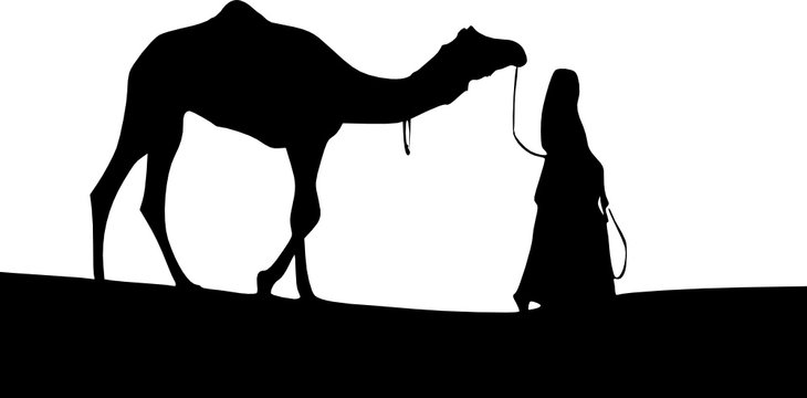 woman leading a camel 