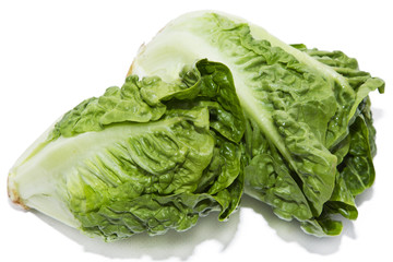 buds isolated lettuce
