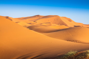 Naklejka na ściany i meble Desert dune at Erg Chebbi near Merzouga in Morocco.