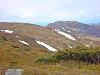 Carpathian mountains