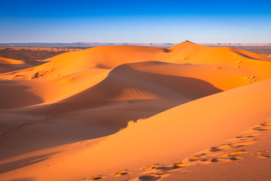 Desert dune at Erg Chebbi near Merzouga in Morocco. © Lukasz Janyst