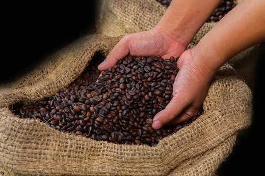 Coffee beans in hands © HB511